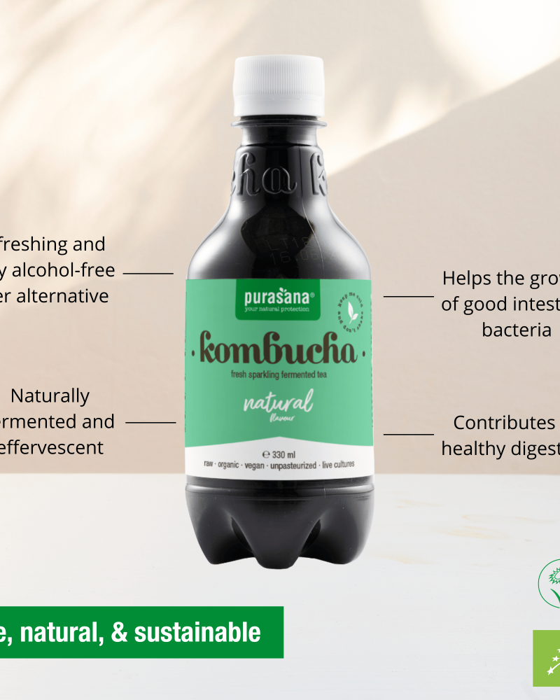 Kombucha Natural 330ml - Image 2
