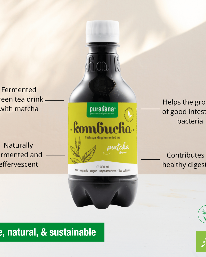 Kombucha Matcha 330ml - Image 3