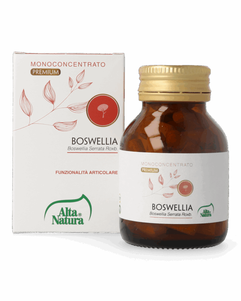 Alta Natura Boswellia Tablets 1100mg x60